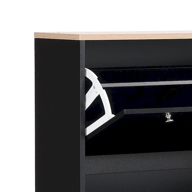 Minimalist Shoe Storage Cabinet with Wood Grain Finished Top Panel