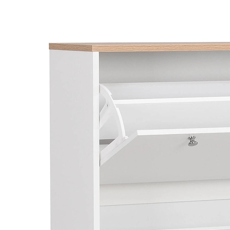 Minimalist Shoe Storage Cabinet with Wood Grain Finished Top Panel